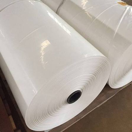 Polythene Sheet Roll